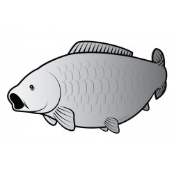 Sticker Pescuit Delphin - Carp Silver Sticker Pescuit Delphin - Carp Silver